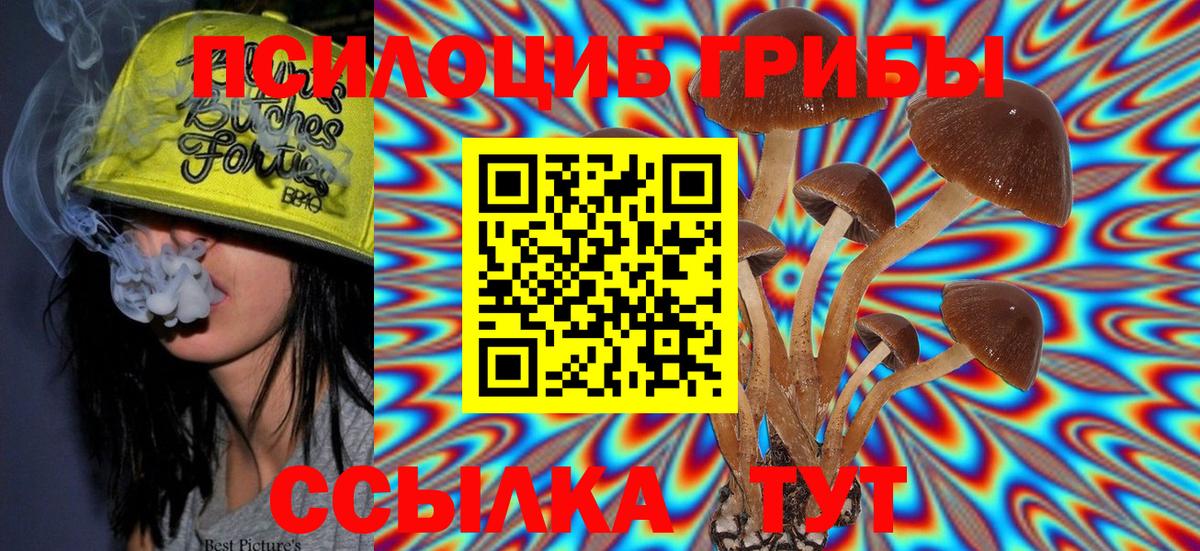Кандалакша  Галлюциногенные грибы Magic Shrooms  Вход с VPN 